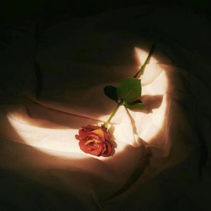 能让人长记性的惩罚
